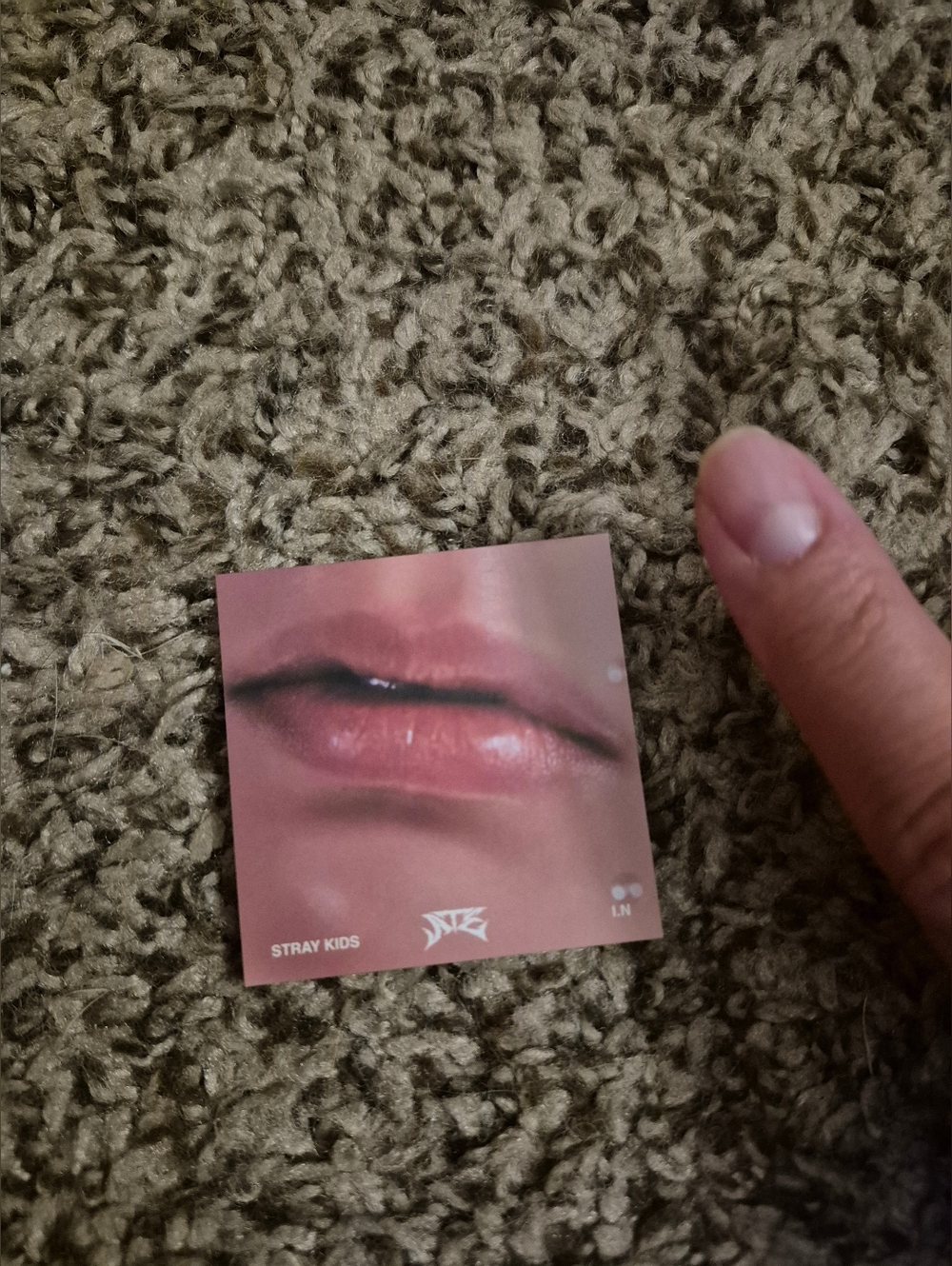 Stray Kids IN Lip PC